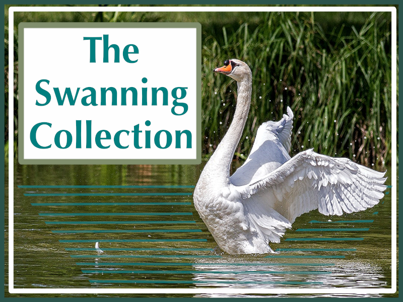 The Swanning Collection